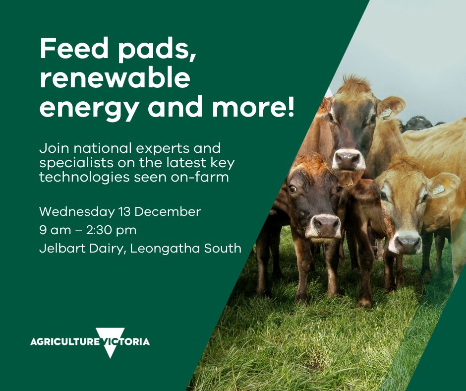 VicGovAg's tweet photo. 🤠 Feed pads, renewable energy and more! 

Join national experts and specialists on farm to discuss the latest key technologies being used at Jelbart Farm in Leongatha South. 

📌 Wednesday 13 December, 9 am to 2:30 pm.  

Register here: https://t.co/5Glqy80J7b https://t.co/IY5jBcFXXZ