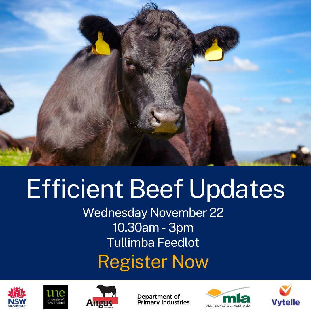 CLOSING SOON: Learn about the latest genetics, methane mitigation and meat science research, view the Angus Sire Benchmarking Program Cohort steers, Southern Multibreed steers, and feed intake and methane data recording equipment. Register here: brnw.ch/21wEnOD