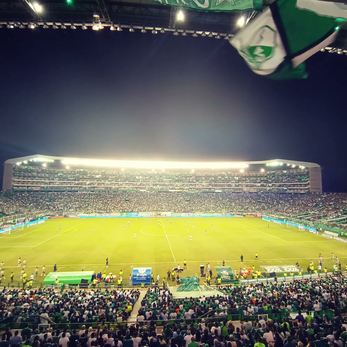 No sos el favorito, pero sos mi único favorito. ... #VamosCali 💚