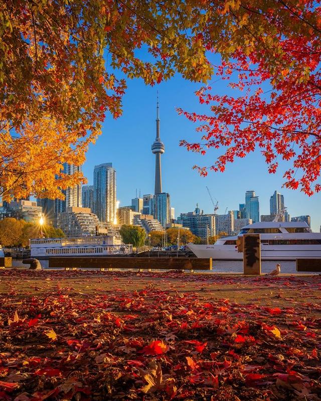 WaterfrontBIA's tweet image. Can't get enough of Fall #atthewaterfront 🤩 🍁 

📸 IG: mr._tade