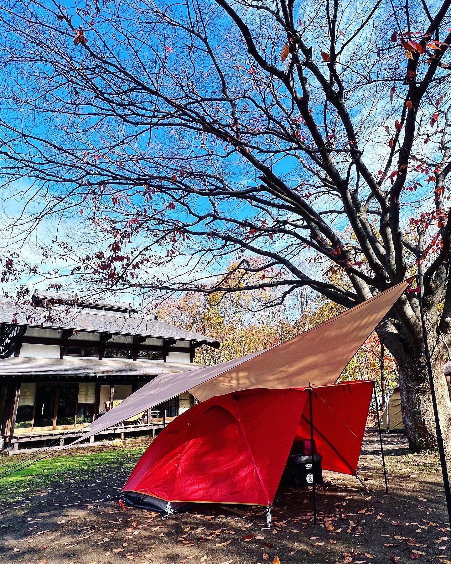 ゼログラム Minimalist Hexa tarp(RED) Minimalist Hexa Tarp | Tarp | ZEROGRAM （ゼログラム）