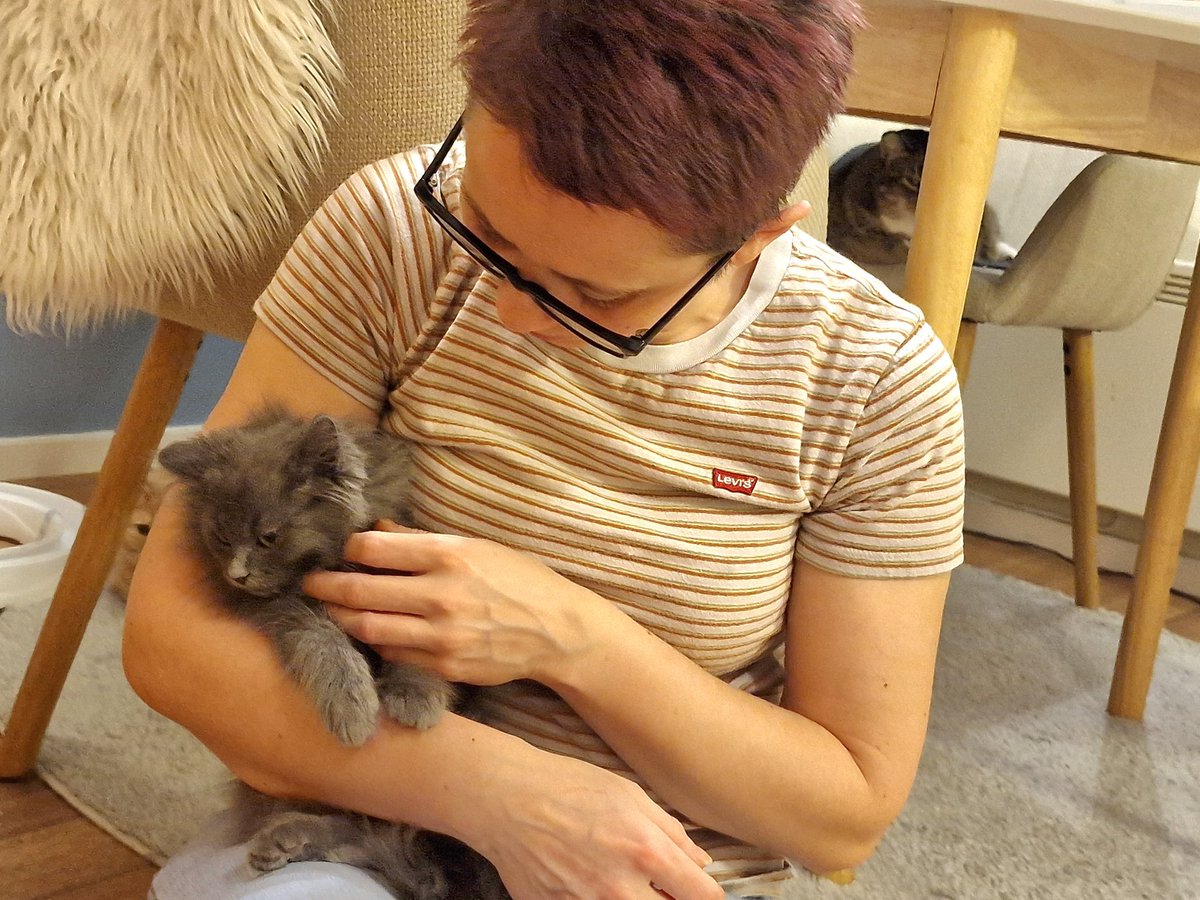 Mum is working with little Hæppi to gain his trust in humans. He is rescued from the wilderness and have no confidence in humans at all. We are hopeful for him and his future as a good and trustful housecat. 💖😻 We love the little fluffy 8 weeks old male cat.💖