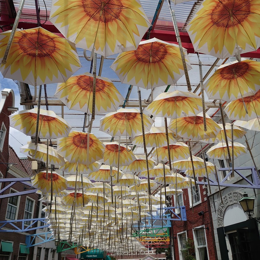 ideabox7's tweet image. 일본 나가사키 세계 최대 🎠하늘 회전목마 - ALLTHATTRAVEL - go.shr.lc/3Sy3Jqw