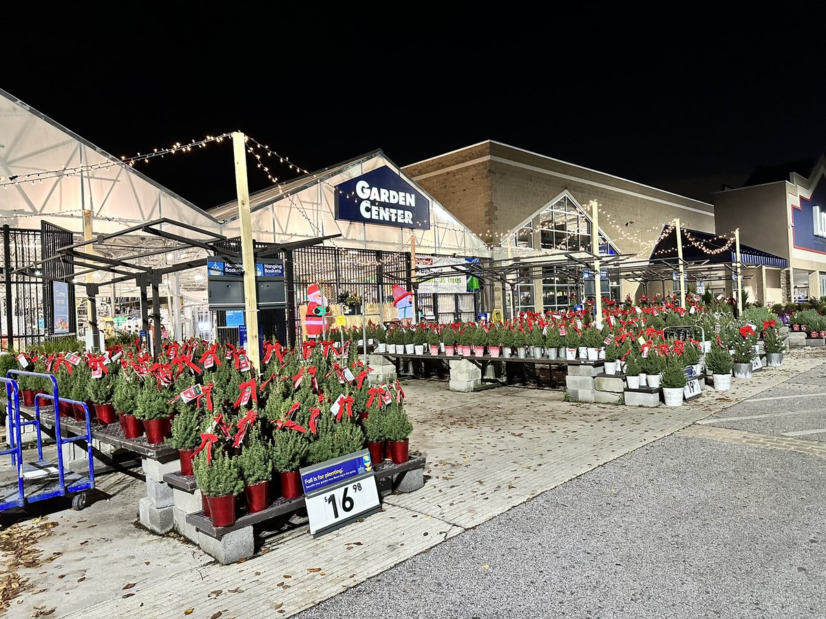 mike cognazzo tweet media