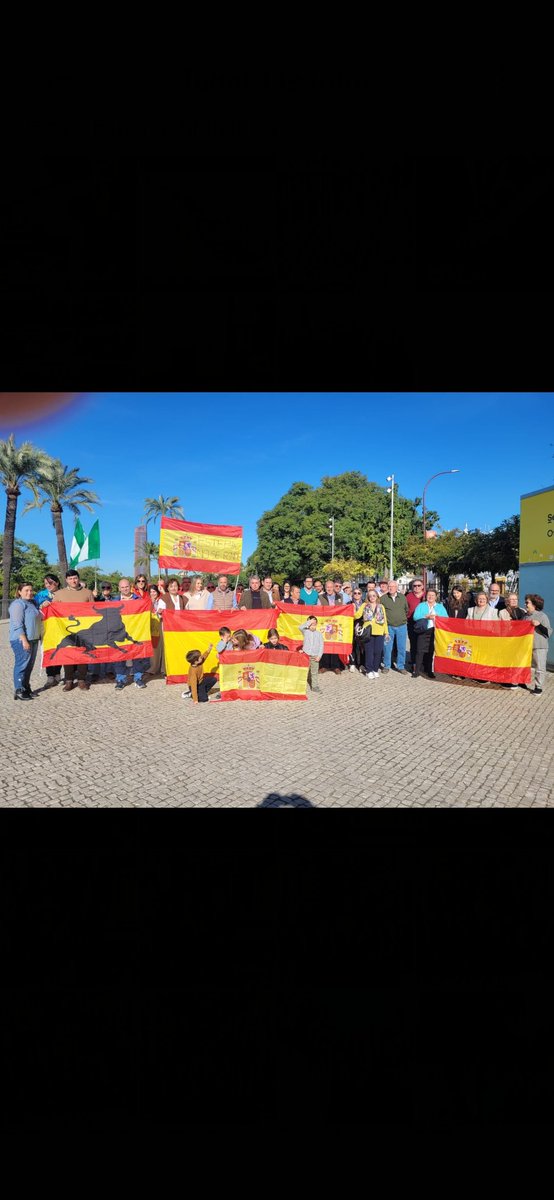 Millones de personas en toda España hemos asistido hoy de forma pacífica a las concentraciones celebradas en las capitales de provincia, para defender nuestra Democracia y nuestro Estado de Derecho.
Nuestros Compañeros hoy han estado en Sevilla defendiendo la unidad de España.
