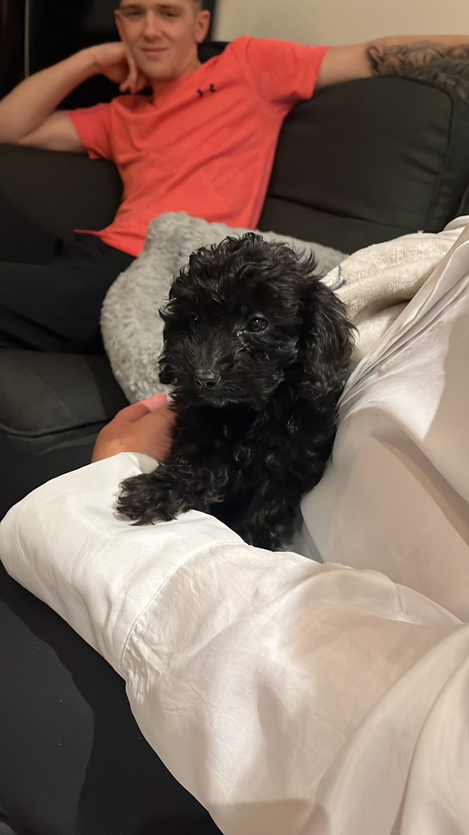 Say hello to George, the new member of the family. He’s the new initiate in not the household music club, he doesn’t know it yet, but he’ll love it!