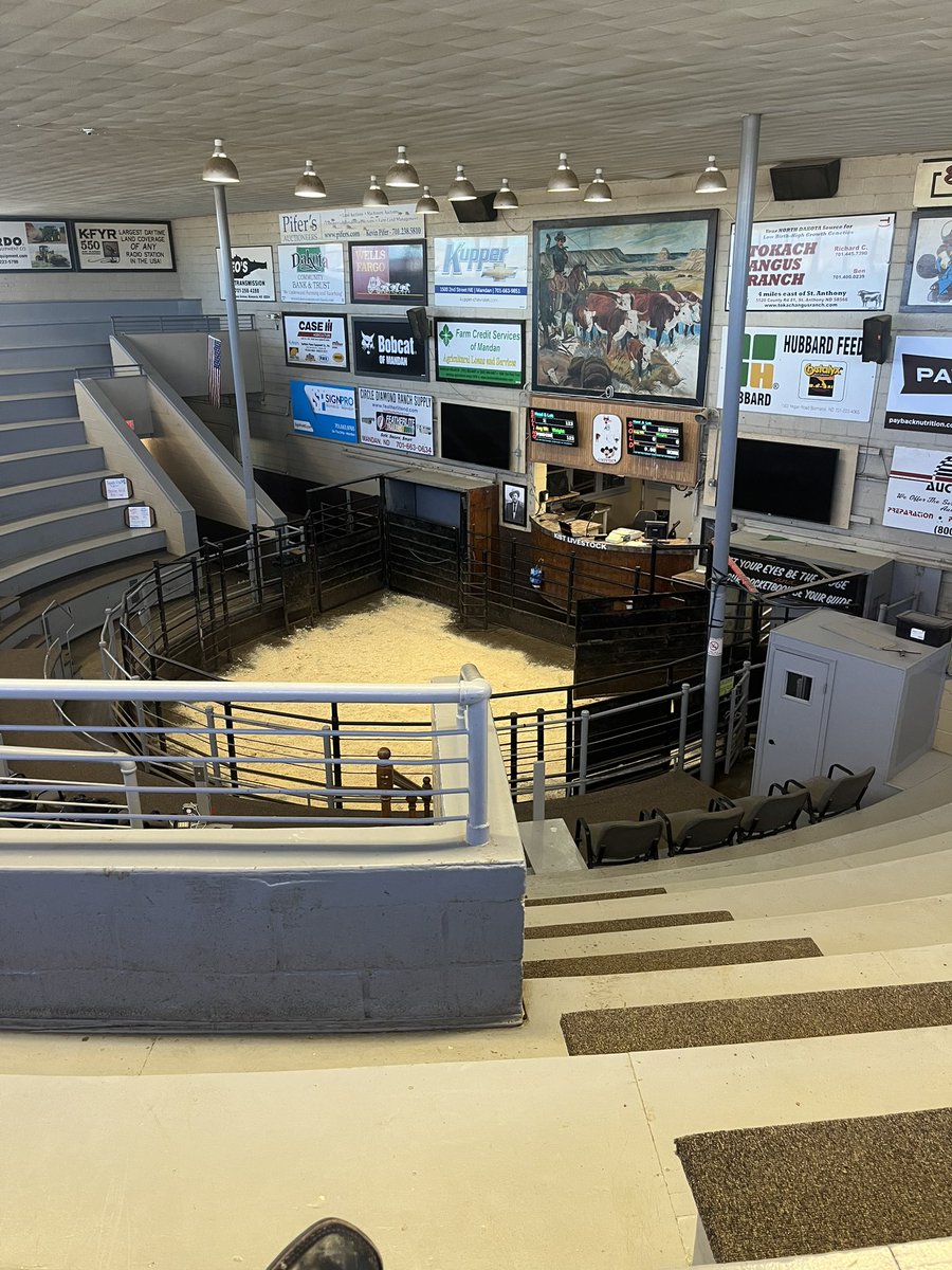 ColtonTobin's tweet image. Pretty fortunate to travel to different barns for sales throughout the year but this is probably my favorite.