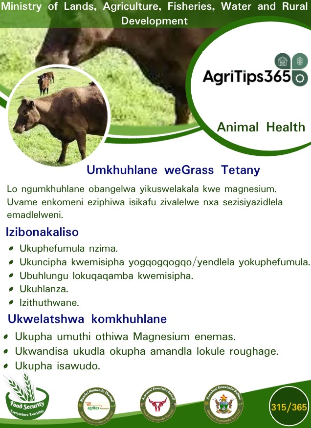 Grass Tetany #AgriTips365/315 #foodsecurity Everywhere Everyday @obertjiri