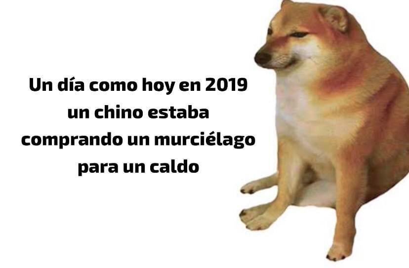 nacional_memes's tweet photo. El inicio* 🐺 https://t.co/7vKBvinuOY