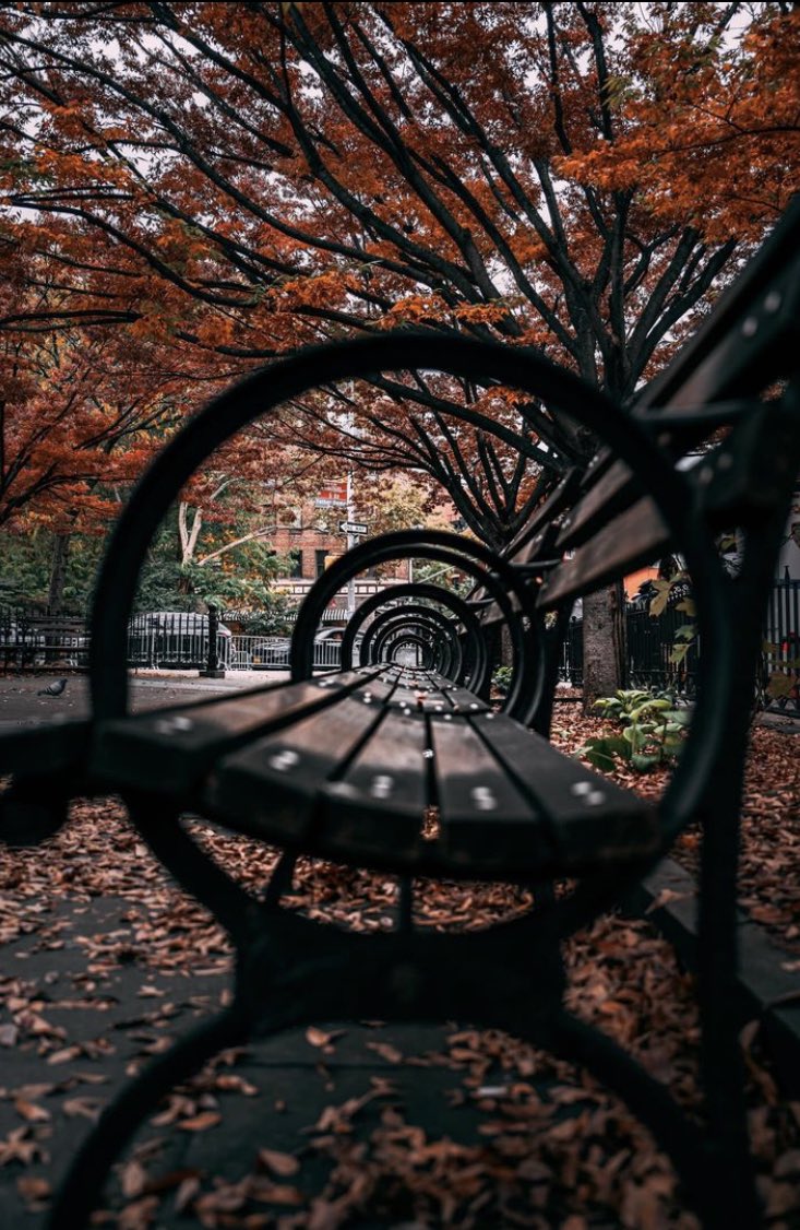 A different perspective of Autumn in New York.