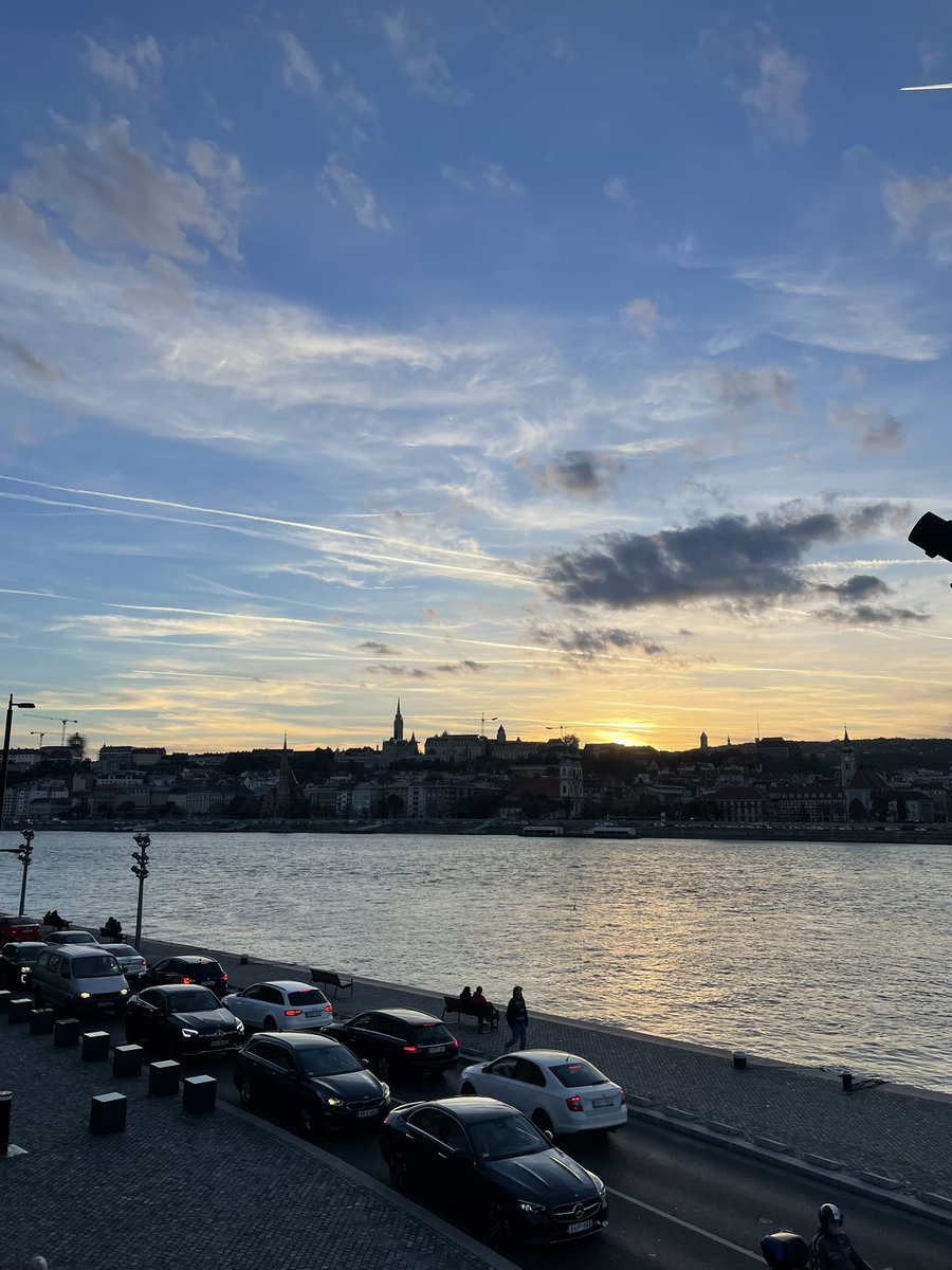 TS (Too Stupid) tweet media