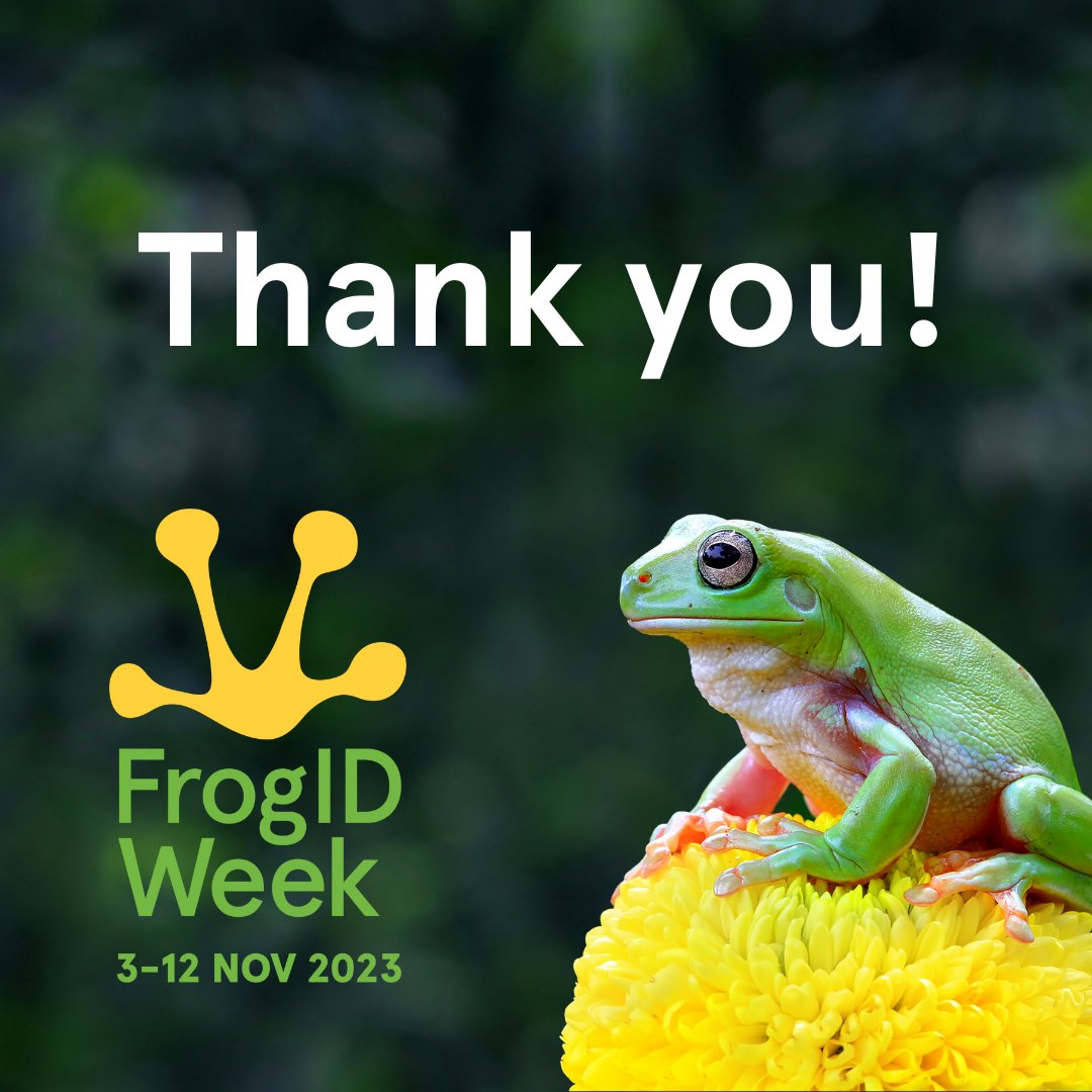 FrogID tweet media