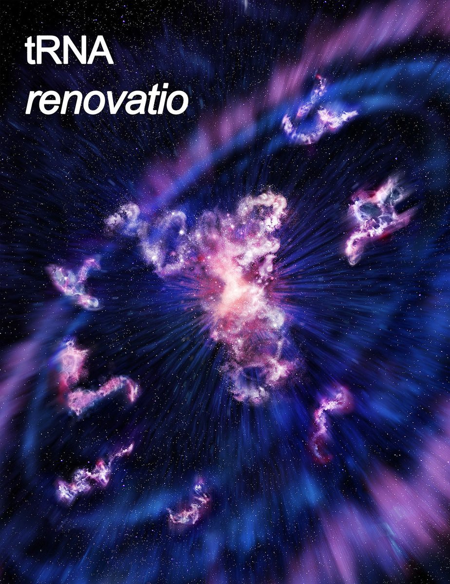 Amid setting up a new lab & a new home in Utah's calm, thoughts have sedimented into two idea pieces exploring the functional principles of tsRNAs, rsRNAs & more #smallRNA
jbc.org/article/S0021-…
cell.com/molecular-cell…
Love the arts for tRNA & tsRNAs! Eager for what's ahead...🔭