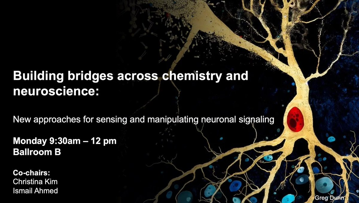 Ismail Ahmed tweet media