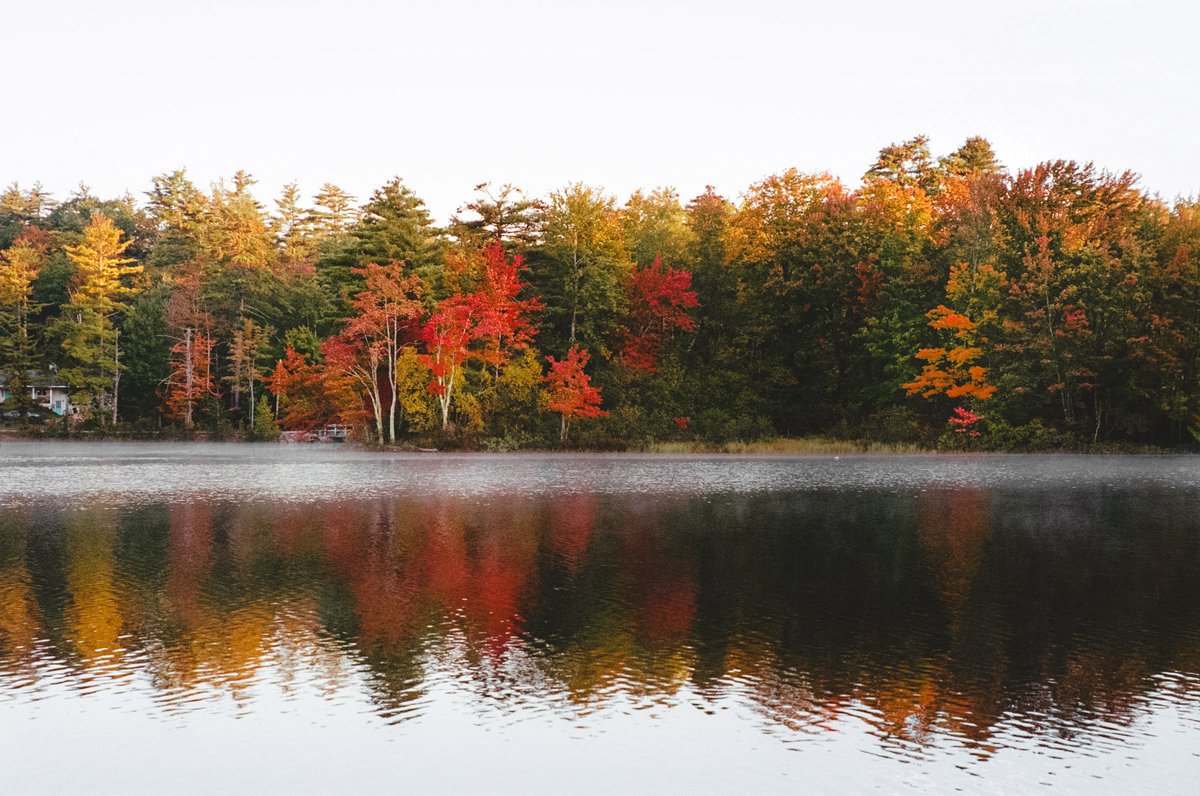 seeing red, on 35mm film 🎞️