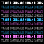Photo by Safe and Equal (@safe_and_equal)