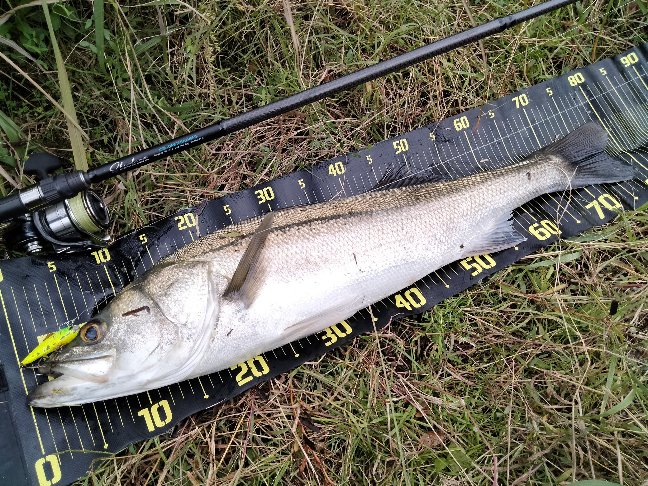 ⑥美品 モンスターキス ハンターズHT-6/7 Bushman 怪魚ハンター