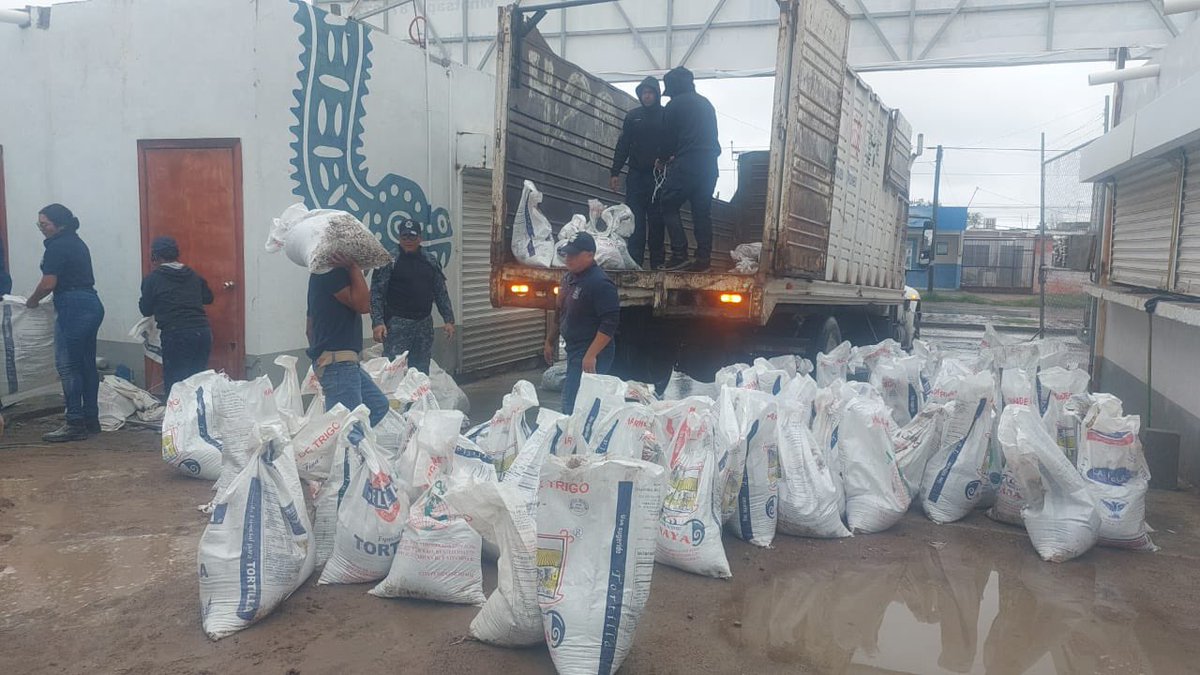 Elementos y cadetes preparan costales de arena para llevar a las colonias afectadas por el acumulamiento de agua y permanecen alertas para el traslado de ciudadanos. #TorreónSiemprePuede 
#PlanAtenciónALluviasTorreón