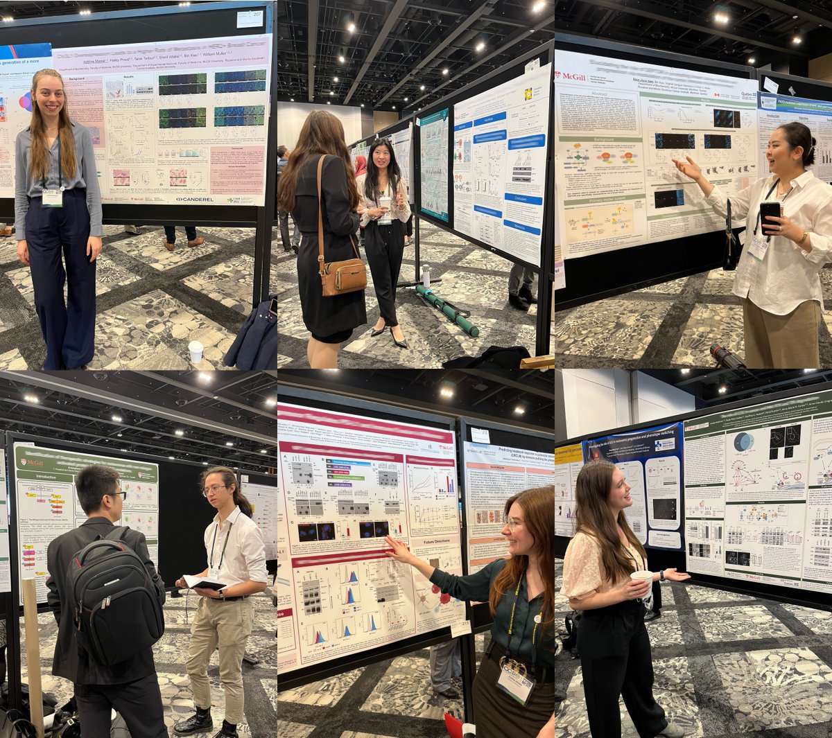Rosalind & Morris Goodman Cancer Institute (@mcgillgci) on Twitter photo We heard some fascinating poster presentations from GCI trainees at the #CCRC2023 today!
Nous avons écouté des présentations de posters fascinantes des étudiantes du ICG lors du #CCRC2023 aujourd'hui ! <a href="/CCRAlliance/">CCRAlliance</a> We heard some fascinating poster presentations from GCI trainees at the #CCRC2023 today!
Nous avons écouté des présentations de posters fascinantes des étudiantes du ICG lors du #CCRC2023 aujourd'hui ! <a href="/CCRAlliance/">CCRAlliance</a>