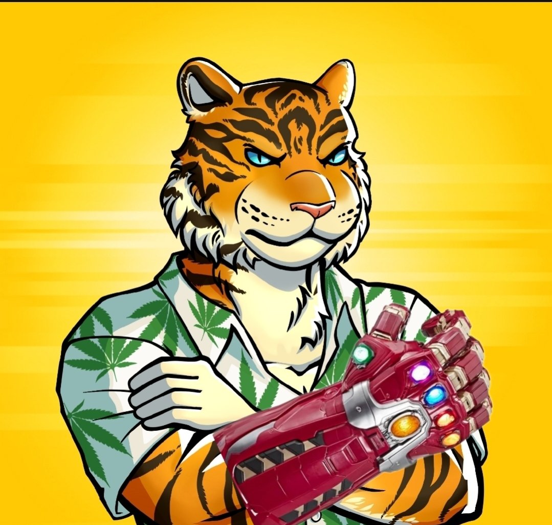 Josh_Hodlin's tweet photo. Why haven't you spent 1 Solana to mint the @dtfcity ,Degenerate Tiger Federation...
 cause @solana had an ungodly pump and that's a lot of bread for us degens... so..  buy 2 get 1 is in effect. Check the @nftbangla discord for the Deets. https://t.co/csLzB92xKC