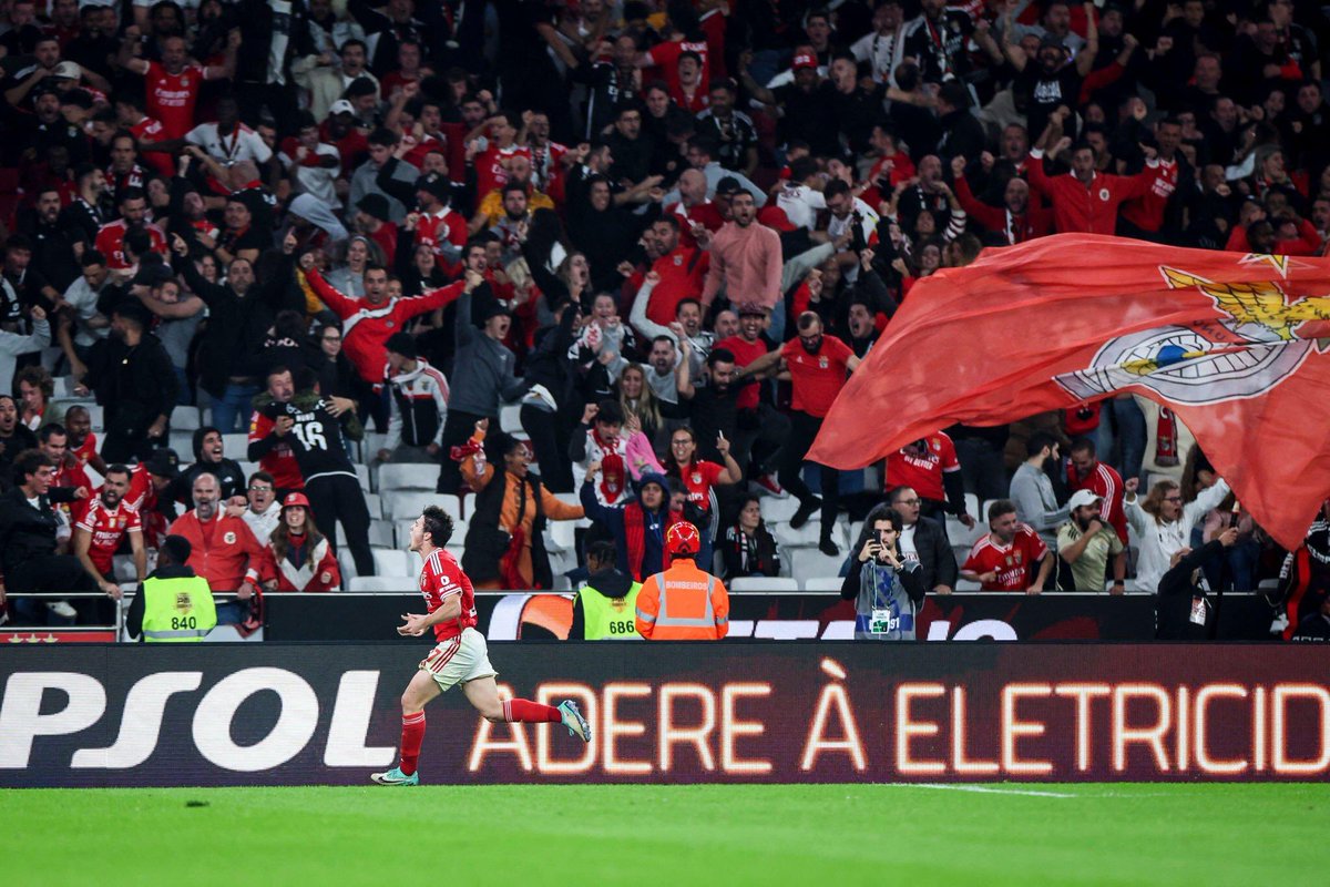 Rui Costa do Azeite (@rcostadoazeite) on Twitter photo 