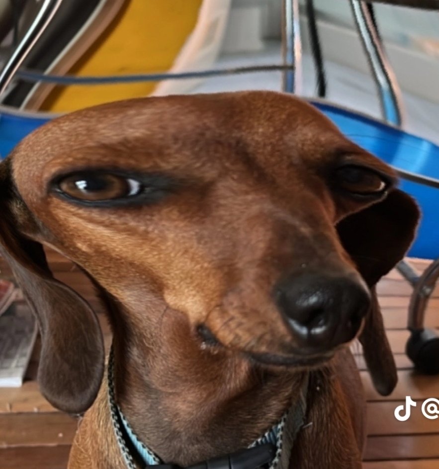 augh_augh's tweet image. se ve feo pero recién estoy comenzando a dibujar con referencias!! augh