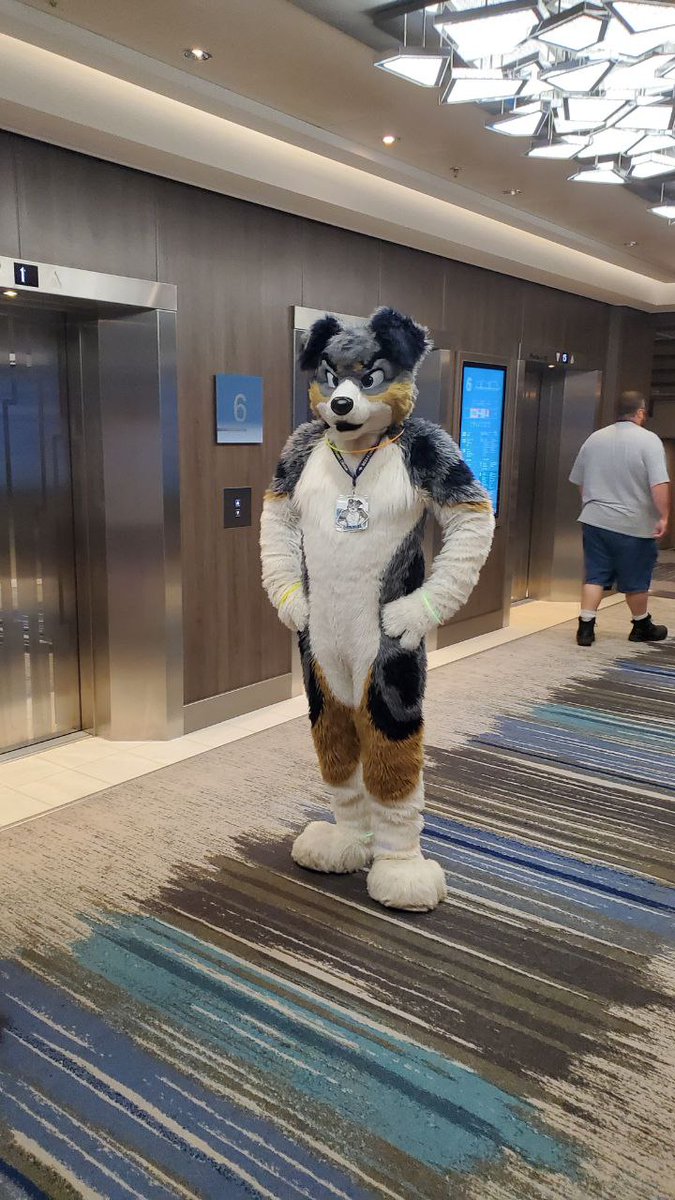 furrycruise tweet picture