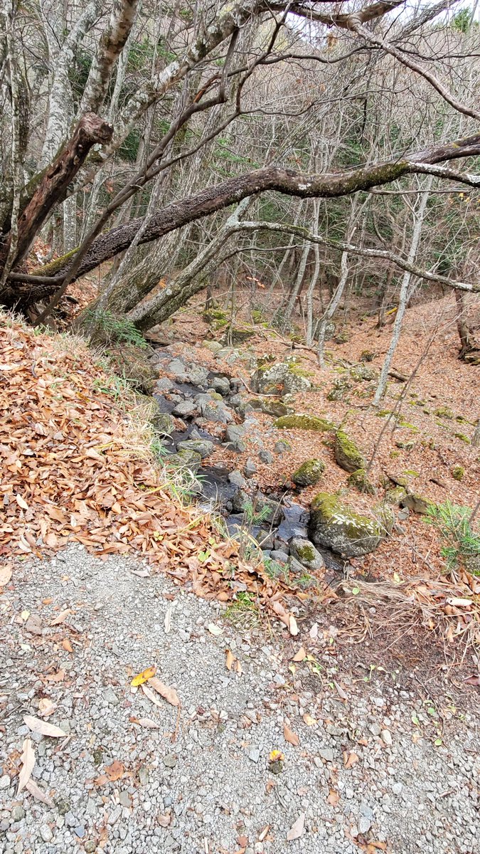 den_droneworld's tweet photo. 秋の小川
#紅葉
#秋
#三ッ峠山 https://t.co/7LuXuCNxWk