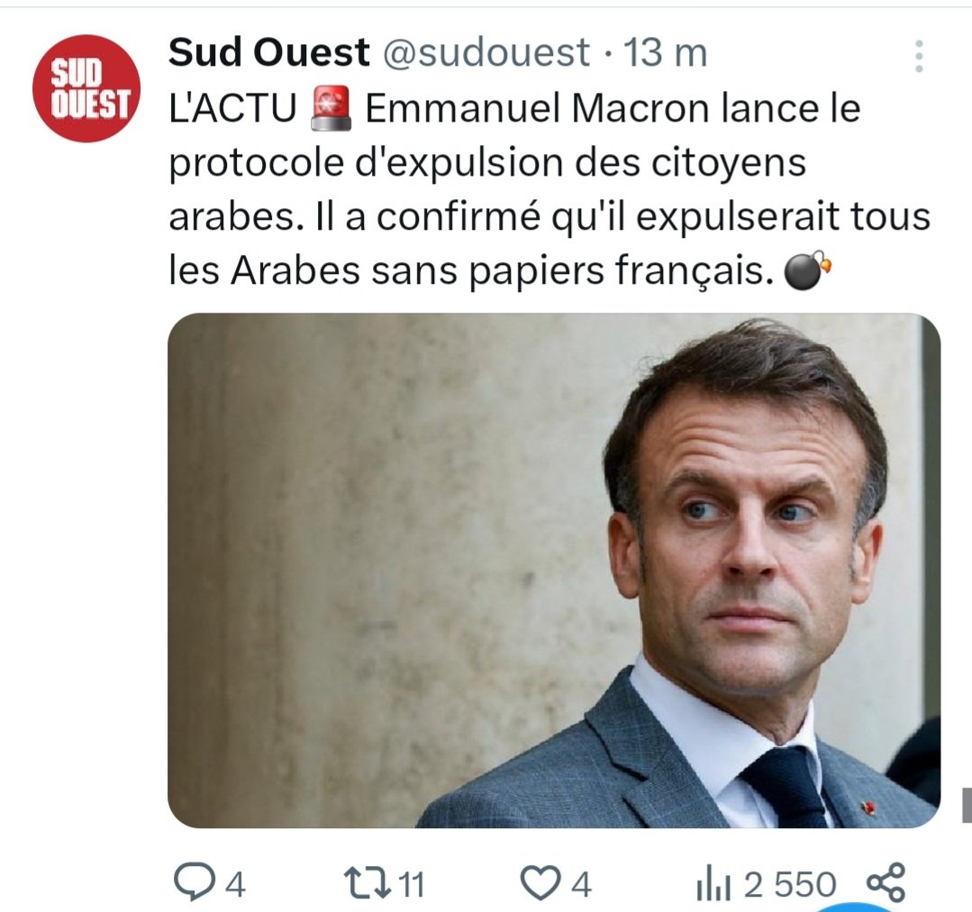 Sanguisorbaguette 🌿🥖 tweet media