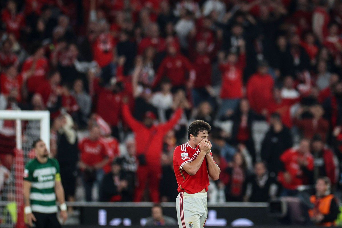 Rui Costa do Azeite (@rcostadoazeite) on Twitter photo 