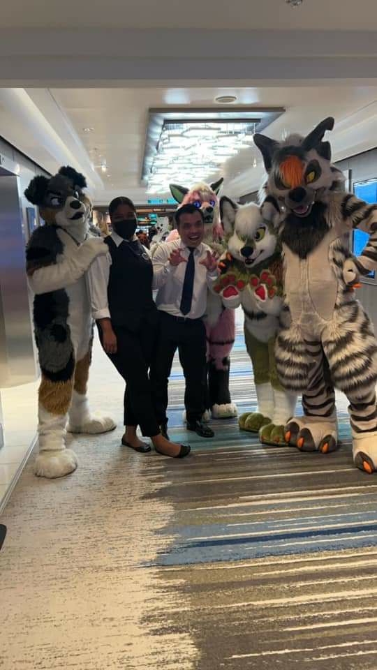 furrycruise tweet picture