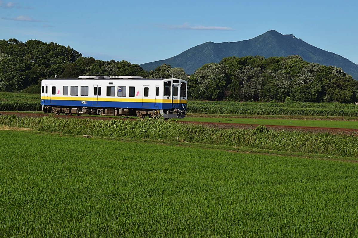 [#茨城県民の日]今日は、㊗️茨城県民の日🎉。おめでとう。併せて、いい焼き芋の日でもある。いばらきは、いいぞ!　明日は、埼玉県民の日、大分県民の日。#茨城県　#埼玉県　#大分県　#いい焼き芋の日