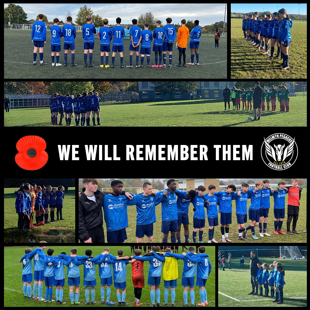welwynpegasusfc's tweet photo. Paying our respect to the fallen this weekend.

#LestWeForget #WeWillRememberThem #RemembranceDay2023 #RemembranceSunday https://t.co/ye9Wmgj74m