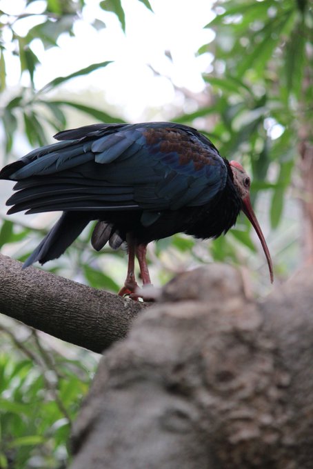 Watch 𝕯𝖆𝖎𝖘𝖞 𝕱𝖚𝖊𝖓𝖙𝖊𝖘 🥀's leaked NSFW photo on TwXstars