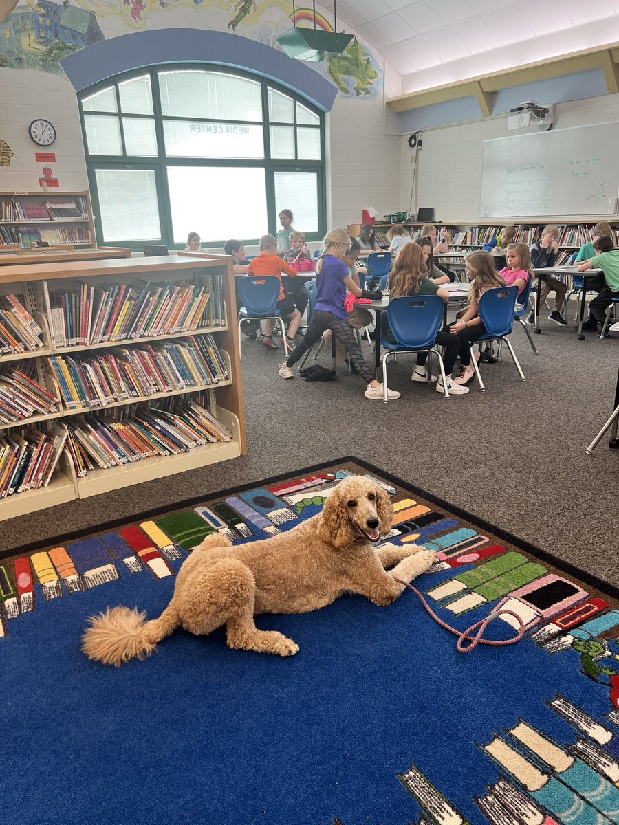 After a few weeks of fostering we said goodbye today to Dressel.  Truly he taught us more than we taught him.  We shed a few tears but his smile will be our favorite memory!  I am confident he will positively impact his next foster family and facility placement.  <a href="/circletail/">Circle Tail, Inc.</a>
