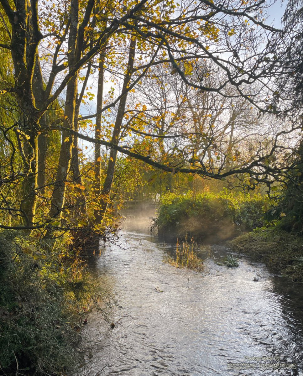 StrattonDorset's tweet photo. Morning at the Wrackle. Photo : Terryific Productions https://t.co/3gmcM1j05z