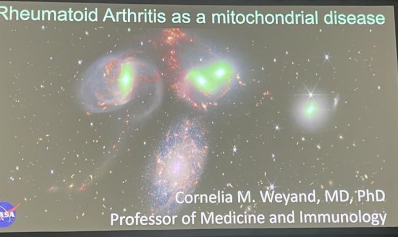 UMIR_REUMA's tweet photo. Interesante visión de la Dra. Cornelia Weyand sobre el papel de la mitocondria en la patogénesis de la Artritis Reumatoide https://t.co/3VIGr1zYPb