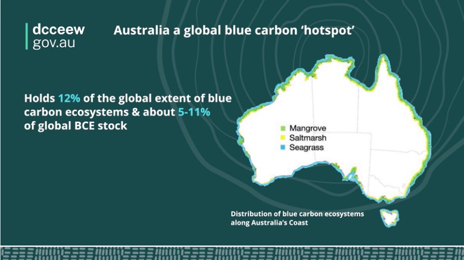 NRM SOUTH (@nrmsouth) on Twitter photo You may have heard the term 'blue carbon' & wondered what it means. This @dcceew video takes a look at why #bluecarbon ecosystems are important, with details on 5 national blue carbon projects  - including our own project at Pitt Water-Orielton Lagoon 
publish.viostream.com/play/bgoo5gyry… You may have heard the term 'blue carbon' & wondered what it means. This @dcceew video takes a look at why #bluecarbon ecosystems are important, with details on 5 national blue carbon projects  - including our own project at Pitt Water-Orielton Lagoon 
publish.viostream.com/play/bgoo5gyry…