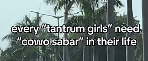 dewisutrisno_'s tweet photo. “Every tantrum girl need mas-mas yang enyenyenyenye” ya lu therapy lah. Kontrol tuh anger lu. Tantrum kok dinormalisasikan?! https://t.co/kDLnr6FxwM