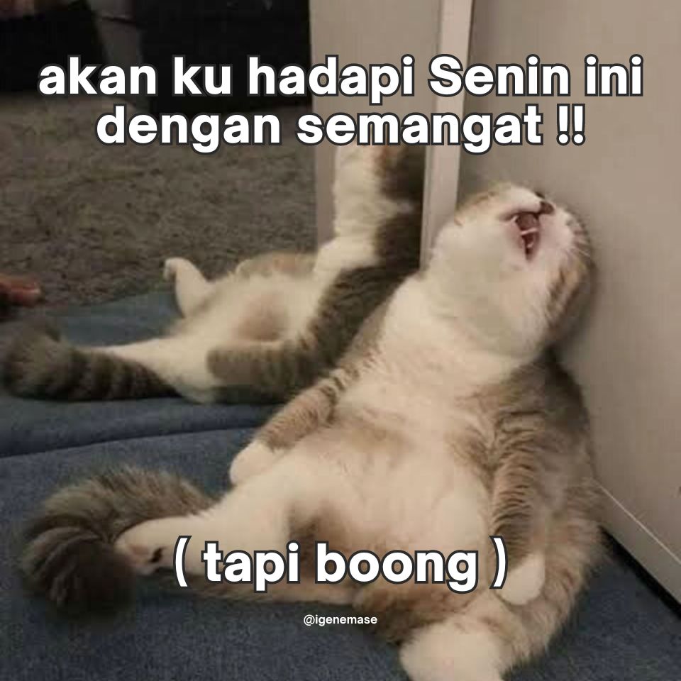 igenemase's tweet image. Senin