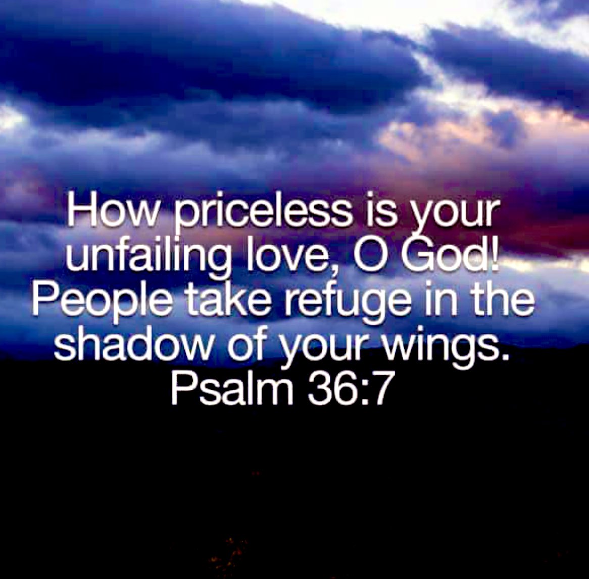 #NightNight 
                                          Under His Wings