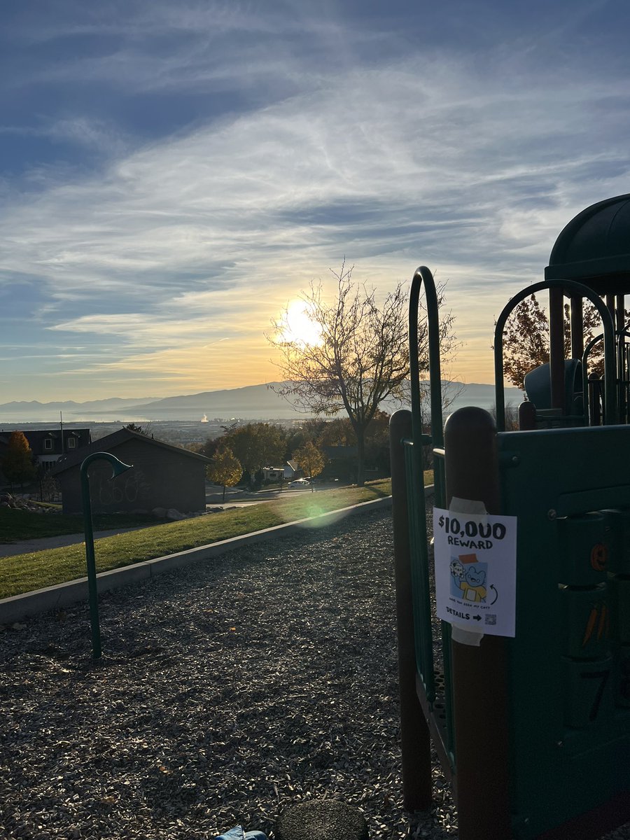 pixelgengar's tweet photo. We do a little sunset canvassing #findblue https://t.co/xHPQ5CbxXA
