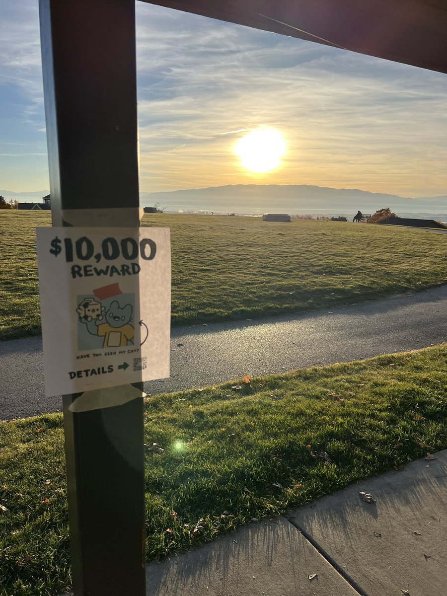 pixelgengar's tweet photo. We do a little sunset canvassing #findblue https://t.co/xHPQ5CbxXA