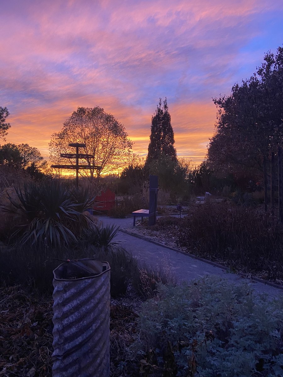 treynx's tweet photo. @NWSNorman Osu Botanical Gardens https://t.co/4ygjakhWjC