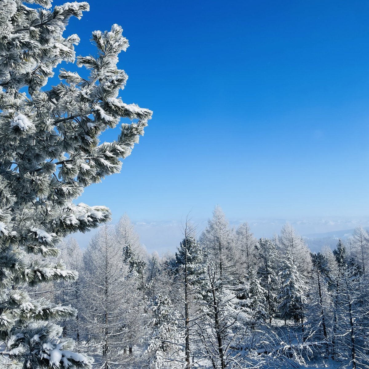 Өглөөний мэнд ээ 🤗