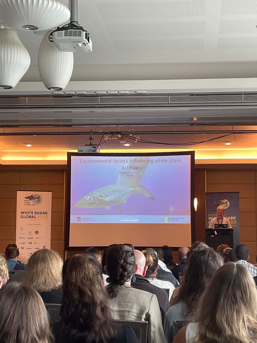 White Sharks Global (@whitesharksglob) on Twitter photo Adrienne Gooden <a href="/gooden_adrienne/">Adrienne Gooden</a> presenting on ‘Environmental factors influencing white shark activity’ #WhiteSharksGlobal2023 Adrienne Gooden <a href="/gooden_adrienne/">Adrienne Gooden</a> presenting on ‘Environmental factors influencing white shark activity’ #WhiteSharksGlobal2023