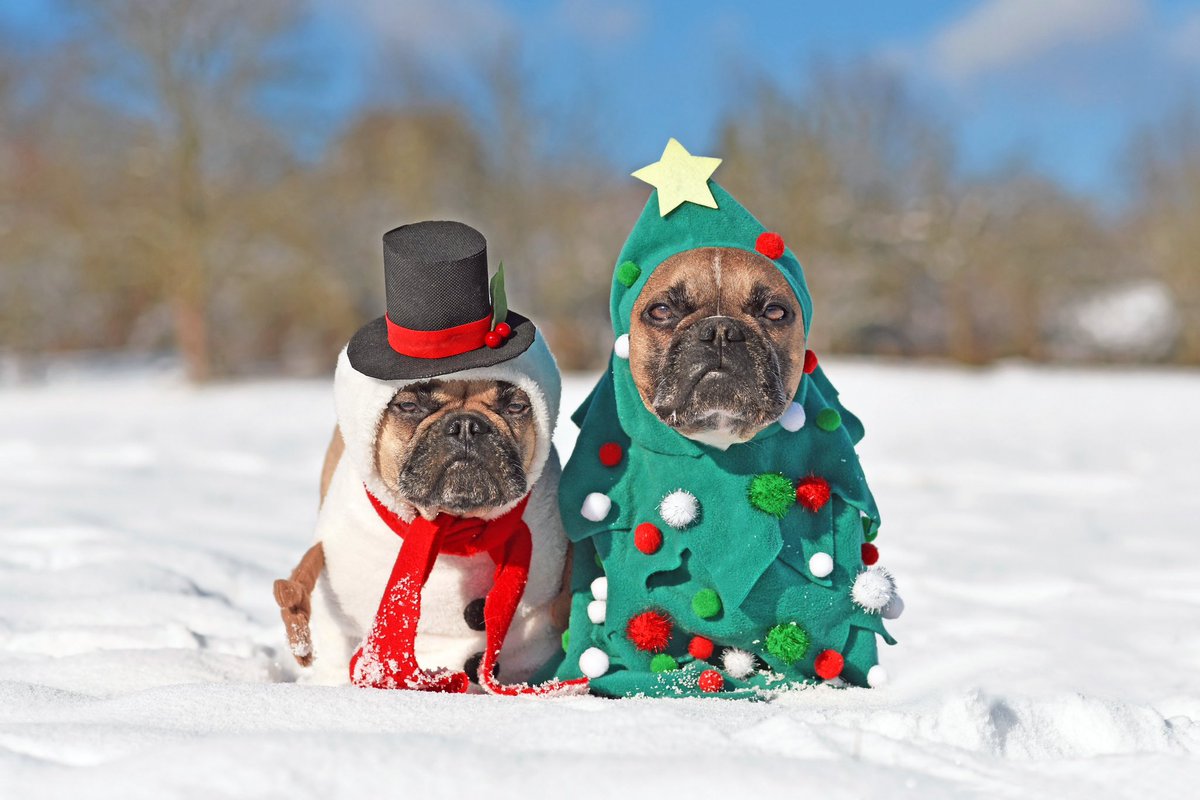 Faces Magazine (@facesottawa) on Twitter photo ☃️ $10,000 HOLIDAY CONTEST ☃️
Win $5000 Cash 💰 AND We Will Donate $5000 to the #Ottawa Charity of your Choice! 🎄
🚨TO ENTER: RT + Follow <a href="/facesottawa/">Faces Magazine</a> + <a href="/BrigilHomes/">Brigil</a> + <a href="/redroostergolf/">Red Rooster Golf</a> ❄️
#ottawa #facesottawa ☃️ $10,000 HOLIDAY CONTEST ☃️
Win $5000 Cash 💰 AND We Will Donate $5000 to the #Ottawa Charity of your Choice! 🎄
🚨TO ENTER: RT + Follow <a href="/facesottawa/">Faces Magazine</a> + <a href="/BrigilHomes/">Brigil</a> + <a href="/redroostergolf/">Red Rooster Golf</a> ❄️
#ottawa #facesottawa