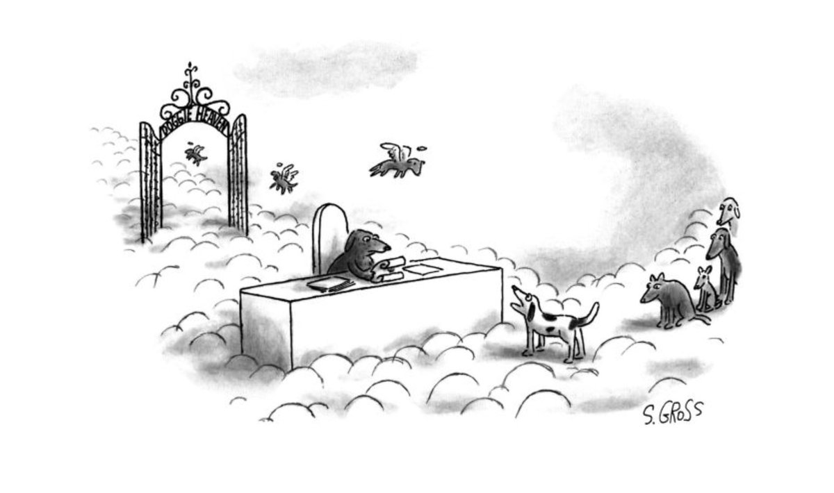 A cartoon from The New Yorker newyorker.com/cartoons/morel…