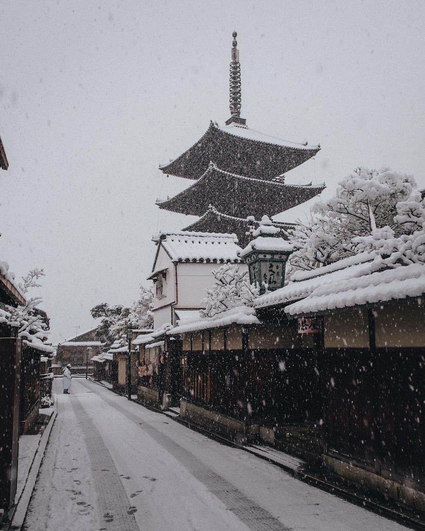 archi_tradition's tweet photo. Kyoto, Japan 🇯🇵 
📸:@riki_s7_ https://t.co/IW3EMPnsWI
