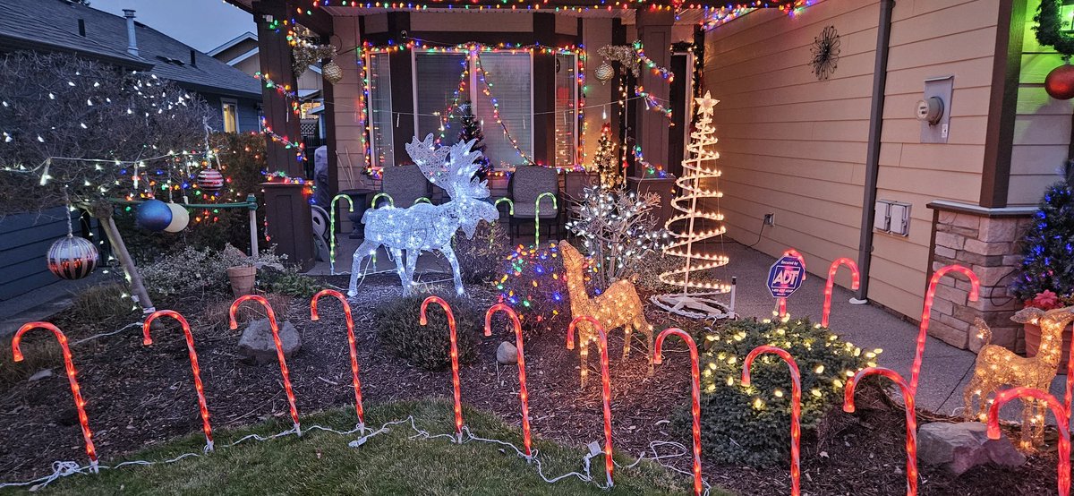 russbyth's tweet photo. 2023 edition with fewer lights due to garden redo. https://t.co/zAmJoHgcDY